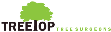 treetop tree surgeons